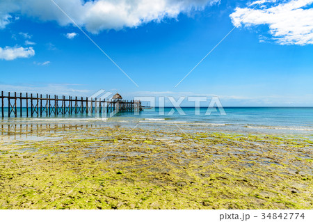 ザンジバルの海岸(タンザニア、ザンジバル) 34842774