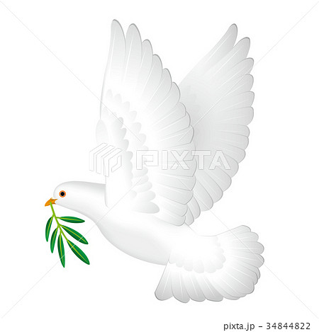 白い鳩とオリーブのイラスト素材 34844822 Pixta