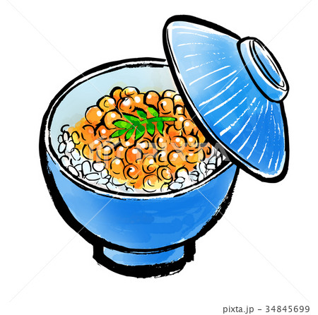 筆描き いくら丼のイラスト素材 [34845699] - PIXTA