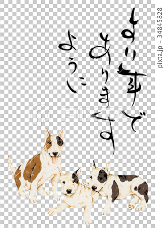 Dog new year's card Dog new year's card 34845828