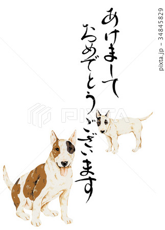 犬の年賀状 犬の年賀状 34845829