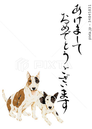 犬の年賀状 犬の年賀状 34845831