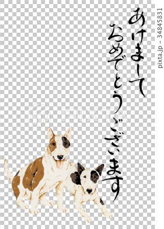 犬の年賀状 犬の年賀状 34845831