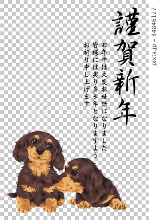 Dog new year's card Dog new year's card 34846127
