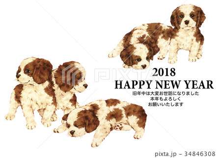 犬の年賀状 犬の年賀状 34846308