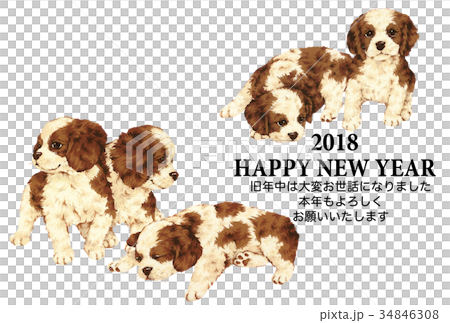 犬の年賀状 犬の年賀状 34846308