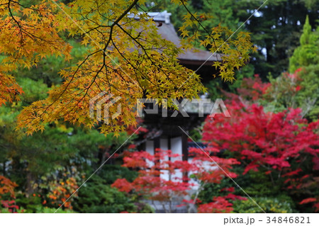円成寺の紅葉 34846821