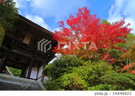 円成寺　楼門と紅葉 34846822