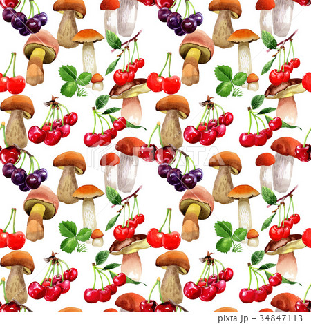 Mushrooms wild vegetable pattern in a watercolor Mushrooms wild vegetable pattern in a watercolor 34847113