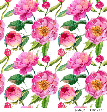Wildflower peonies flower pattern in a watercolor 34847143