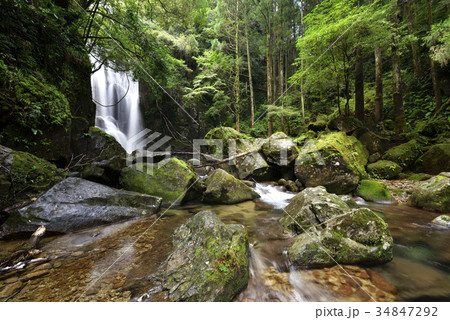 桑の木の滝（和歌山県新宮市相賀） 34847292