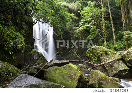桑の木の滝（和歌山県新宮市相賀） 34847293