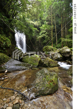 桑の木の滝（和歌山県新宮市相賀） 34847294