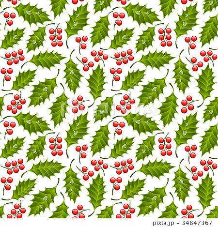 Seamless floral pattern with holly 34847367