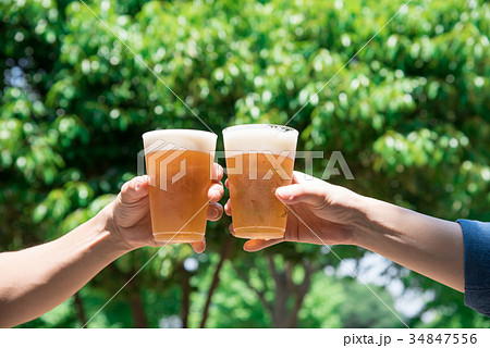 ビールで乾杯の写真素材