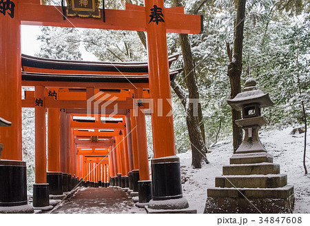 雪の伏見稲荷大社 34847608