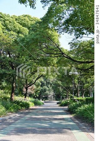 元浜公園　東海市 34847641