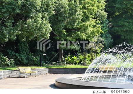 元浜公園　東海市 34847660