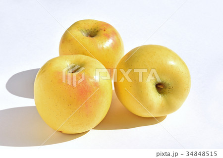 リンゴ（黄香） 34848515