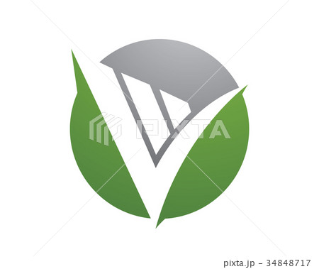 V Letter Logo Template 34848717
