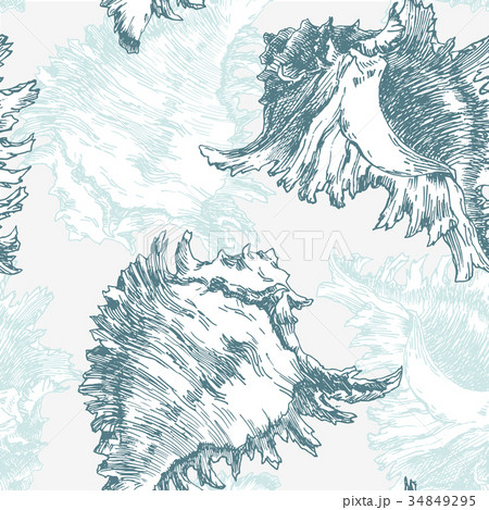 Vector sea shell pattern 34849295