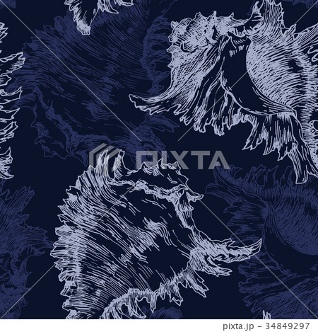 Vector sea shell pattern 34849297