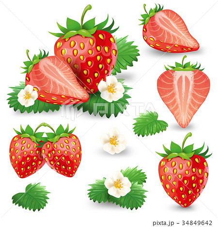 Ripe strawberry with leaves and blossom vector set Ripe strawberry with leaves and blossom vector set 34849642