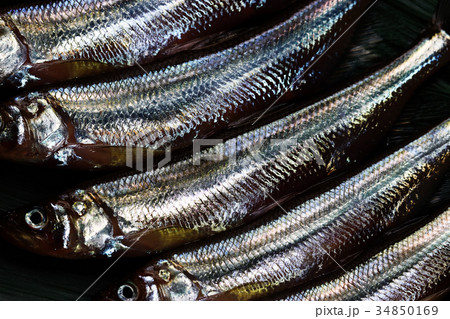 生の新鮮なとれたてししゃも 生の新鮮なとれたてししゃも 34850169