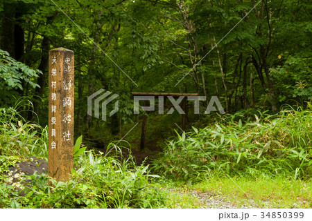 南会津　御鍋神社　鳥居 34850399