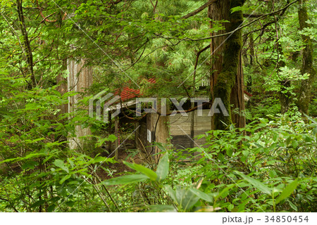 南会津 御鍋神社 南会津 御鍋神社 34850454