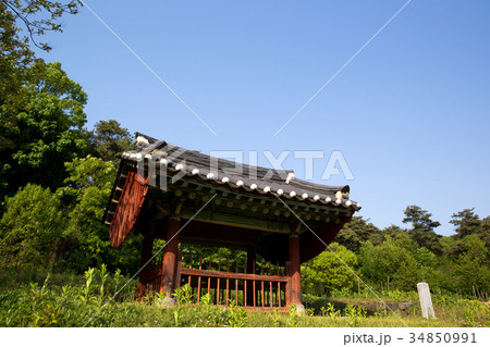墓地 忠臣 タトゥー 34850991