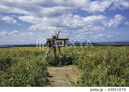 トドワラ 北海道 トドワラ 北海道 34851079