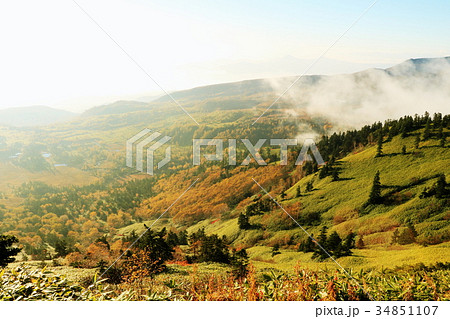 芳ヶ平湿地群（群馬県）（秋の早朝） 34851107