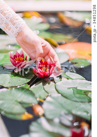 The hand of the bride is touching the waterlilia. 34851298