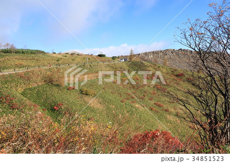 志賀草津高原ルート（国道292号線） 34851523