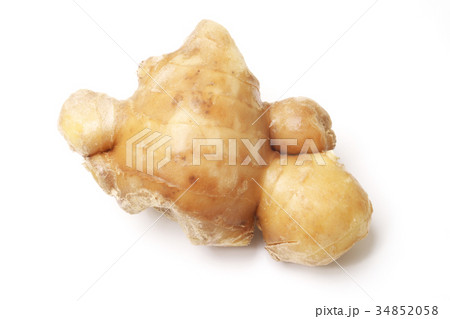 黄金生姜（鹿児島県産） 34852058