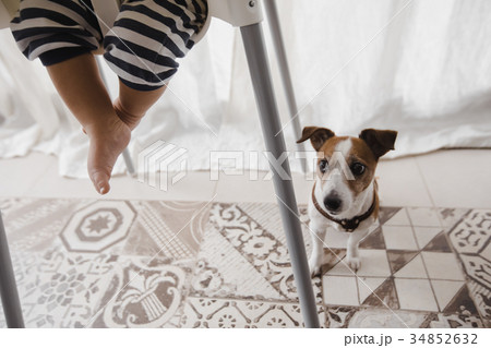 Crop baby and dog on floor Crop baby and dog on floor 34852632