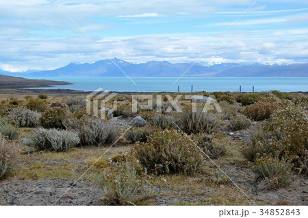 カラファテ、アルヘンティーノ湖とアンデスの山々 34852843