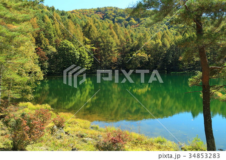 秋の御射鹿池 秋の御射鹿池 34853283