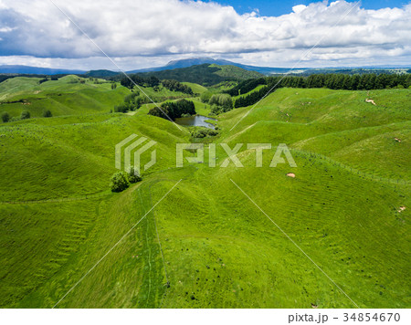 Aerial view sheep farm hill, Rotorua, New Zealand 34854670