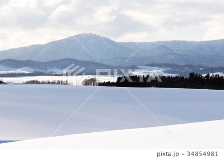 冬の午後の美瑛〜富良野の風景 34854981