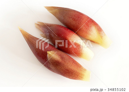 ミョウガ 茗荷 ミョウガ 茗荷 34855102