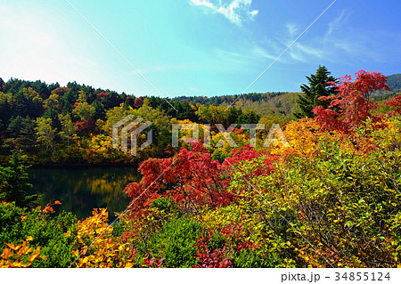 桶沼 桶沼 34855124