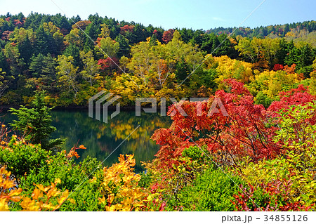桶沼の紅葉 34855126