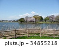 門池公園 34855218