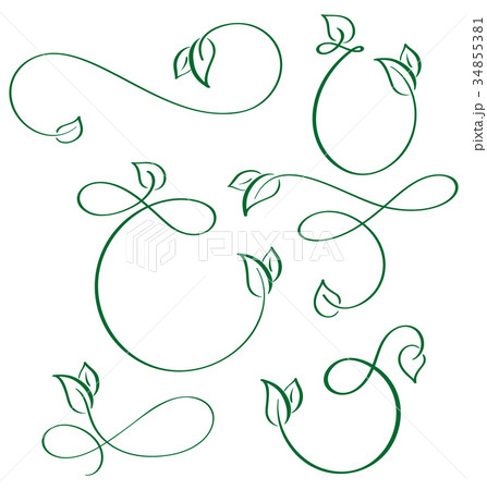 designer calligraphic elements green leaf icons designer calligraphic elements green leaf icons 34855381