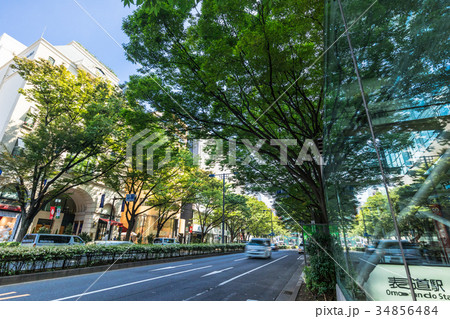 東京　表参道 34856484