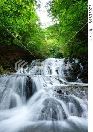 北軽井沢 魚止めの滝の写真素材