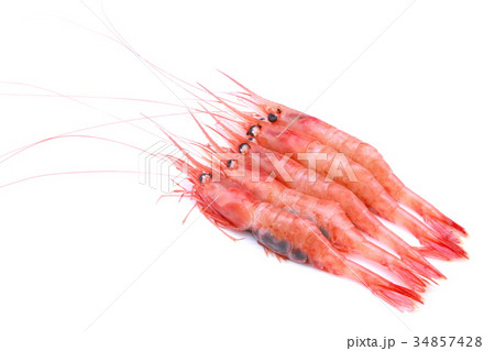 甘エビ 食材 甘エビ 食材 34857428