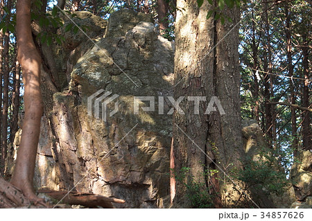 天白磐座遺跡　渭伊神社 34857626